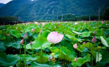 生活与美演讲稿模板5篇