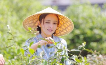生活部年度工作总结6篇