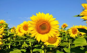 生活个人述职报告模板7篇