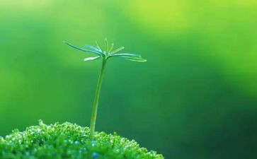 生命水读后感最新6篇