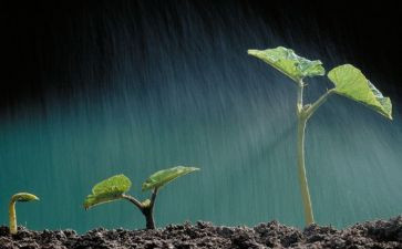 珍爱生命远离危险的演讲稿300参考6篇