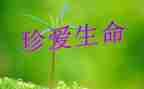 关于生命的演讲稿6篇