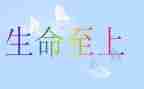 安全至上生命至上演讲稿5篇