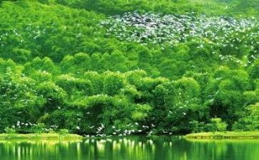 生态岛演讲稿精选6篇
