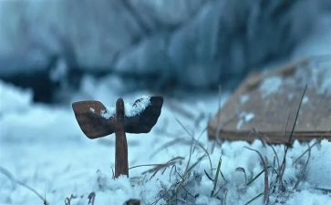 幼儿园生与死教案最新6篇