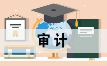 局内部审计工作计划优秀5篇