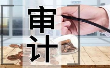 审计党组述职报告5篇
