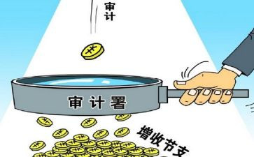 领导讲话稿之审计进点会讲话稿6篇