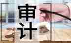 审计组述职报告5篇