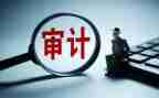 审计工作总结个人总结7篇