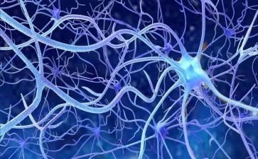 神经外科护士年终述职报告范文8篇