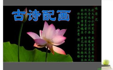 诗经虻读后感推荐8篇
