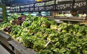 市场最新调查报告7篇