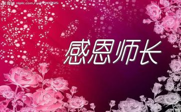 2024年厨师长工作总结优秀8篇
