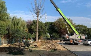 施工员实习自我鉴定5篇