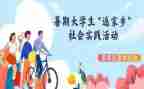 实践个人总结300字8篇