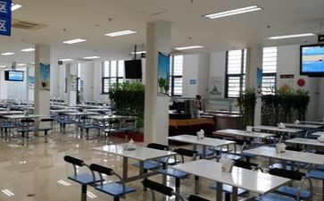 食堂工作总结报告5篇