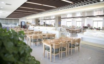 食堂饭的调查报告模板5篇