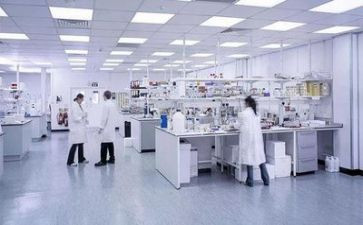 实验的心得优质7篇