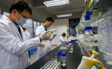 试验工作个人年度工作总结6篇