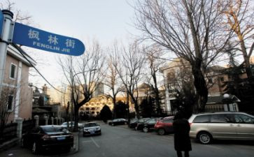 市营养改善自查报告8篇