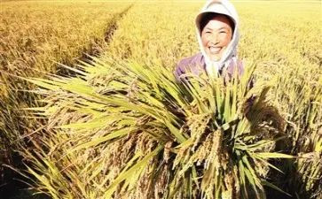 收获演讲稿200推荐7篇