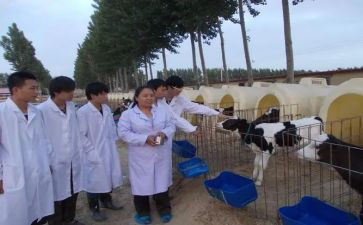 兽医站年度考核个人总结8篇
