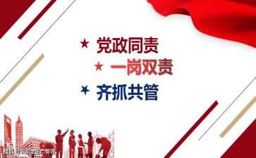 副一岗双责述职报告6篇