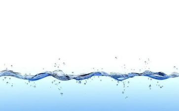 小学水调查报告优质6篇