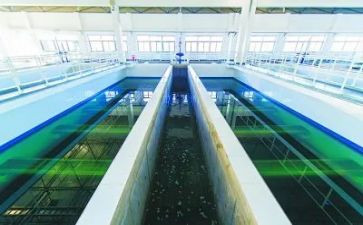 污水厂工作总结参考5篇