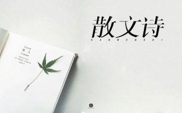 雨的抒情作文600字7篇