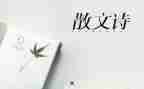 雨的抒情作文600字7篇