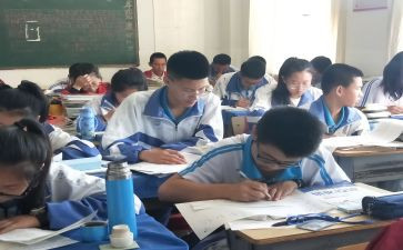 数学感知5以内的数教案8篇