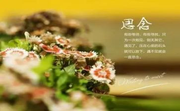 我思念那作文通用8篇