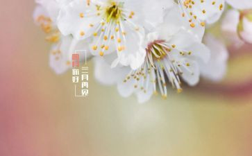 四月领导讲话稿5篇