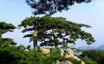 游松山的作文推荐8篇