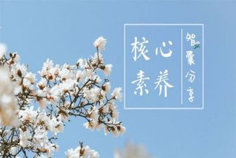 教师职业素养心得体会优秀6篇