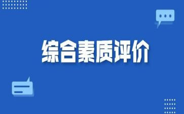 高中综合素质自我总结8篇