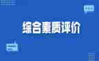 高中综合素质自我总结8篇