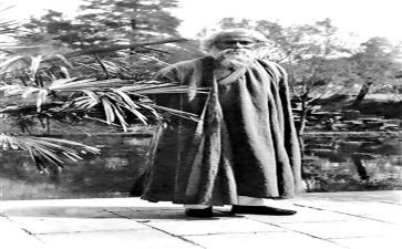 泰戈尔《问》读后感8篇