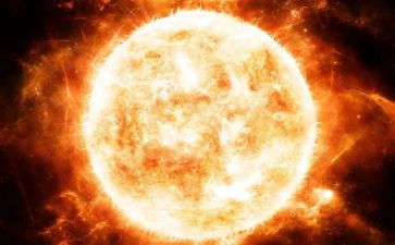 幼儿园小班种太阳教案6篇