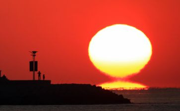 16.太阳教案8篇