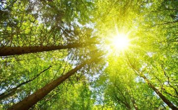 寻太阳读后感8篇