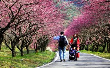 幼儿园幼儿踏青活动方案5篇