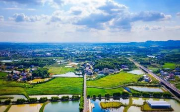 特岗教师自我鉴定5篇