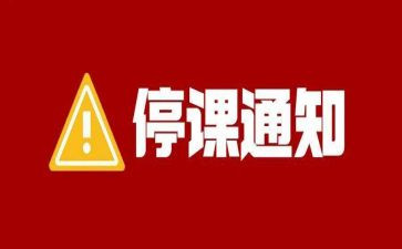 停课不停学教师工作总结5篇