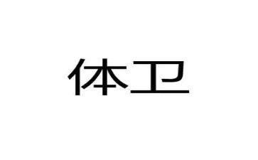 体卫艺工作总结模板8篇