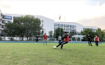 2024年体卫艺工作总结7篇