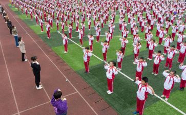 幼儿园体育活动方案活动方案精选7篇