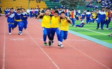 幼儿园中班体育活动教案8篇
